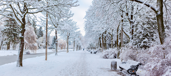 A serene winter scene of a snow-covered park. Leafless trees line a snow-blanketed pathway, their branches adorned with fresh snow. A bench, partially dusted with snow, sits on the right side of the path, inviting quiet reflection. The background features more trees and a faint view of people walking in the distance. The atmosphere is calm and peaceful, with soft daylight illuminating the snowy surroundings.